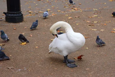 DSC_0633 (Large).JPG